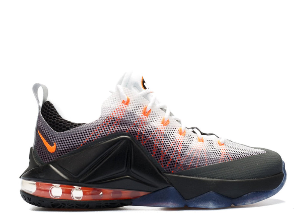 NIKE LEBRON 12 LOW LMTD - AIR MAX 95 - AM95