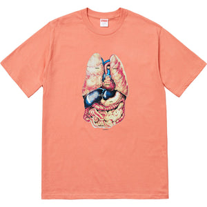 SUPREME - GUTS TEE (TERRACOTTA) - GUTTER