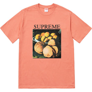 SUPREME - STILL LIFE TEE (TERRA COTTA) - STIL